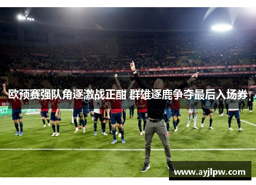 欧预赛强队角逐激战正酣 群雄逐鹿争夺最后入场券