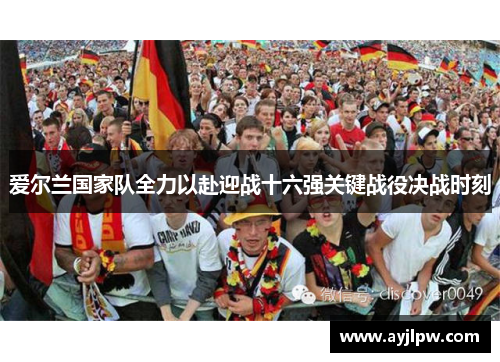 爱尔兰国家队全力以赴迎战十六强关键战役决战时刻