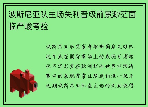 波斯尼亚队主场失利晋级前景渺茫面临严峻考验